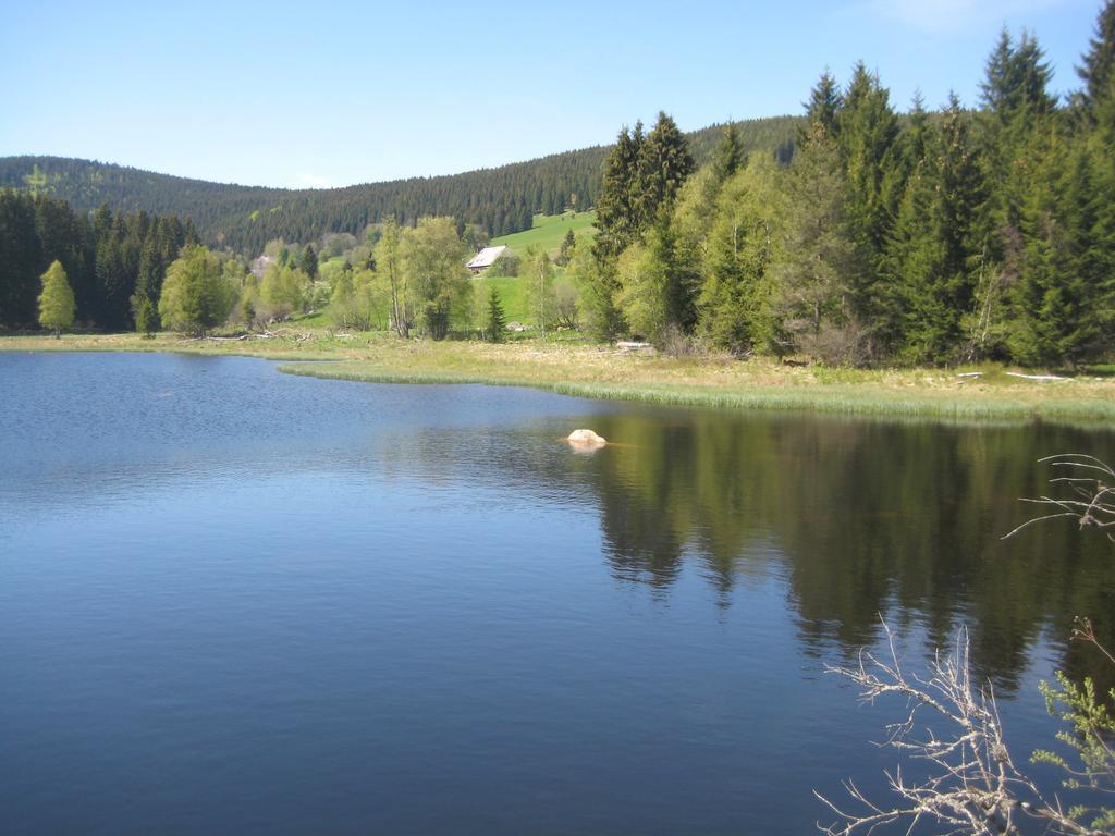 Apartment Eisenhauer In Schluchsee Esterno foto